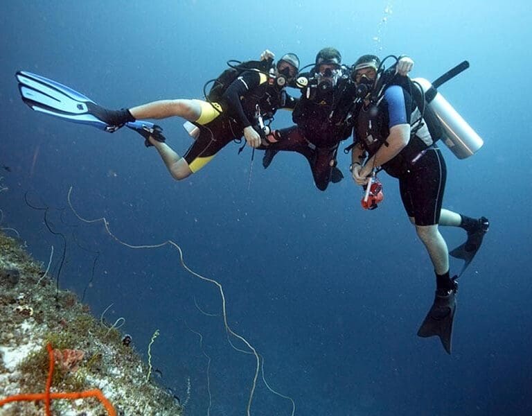 33 Divers Blue Wall Zanzibar 2