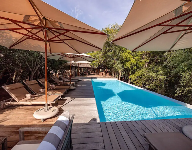 Kapama Buffalo Camp pool