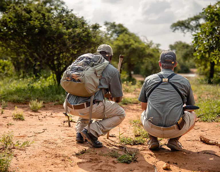 Kapama Bush Walk
