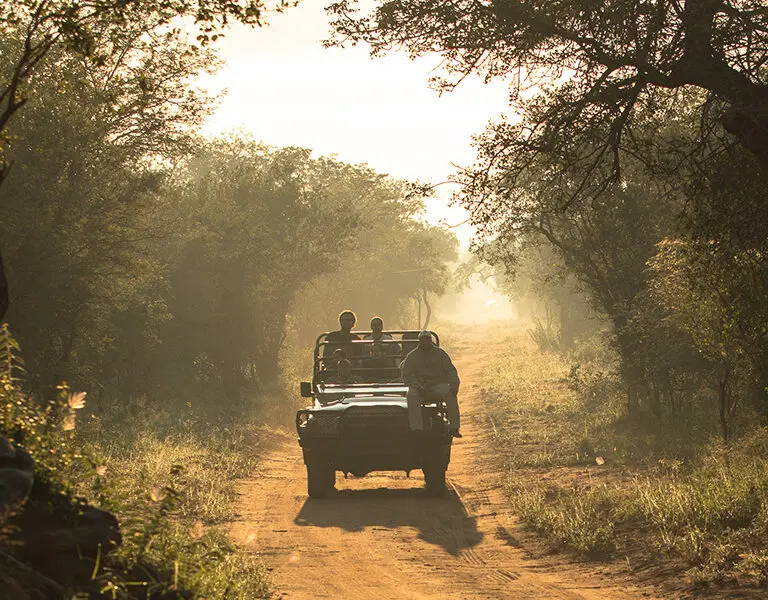 Kapama game drive