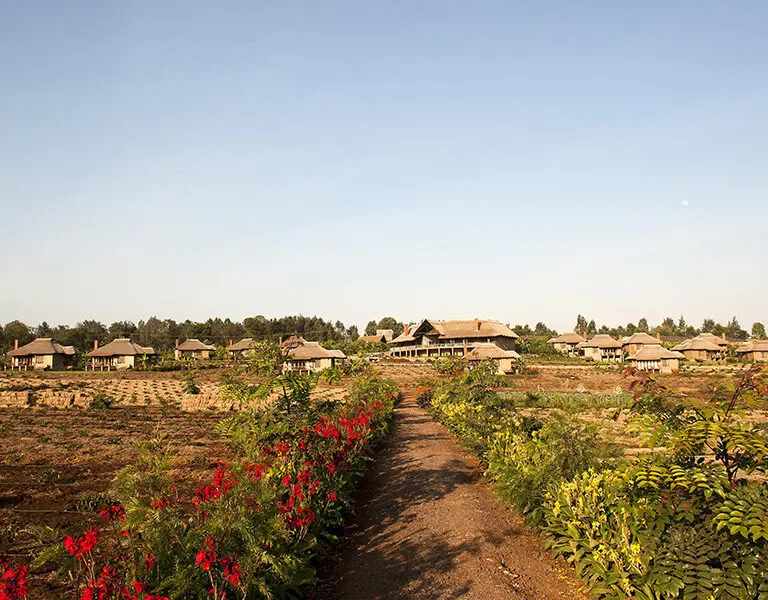 Kitela Lodge Tanzania Ngorongoro Conservation Area .exterior jpg
