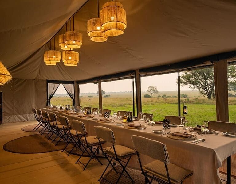 Ubuntu Migration camp Dinner setup