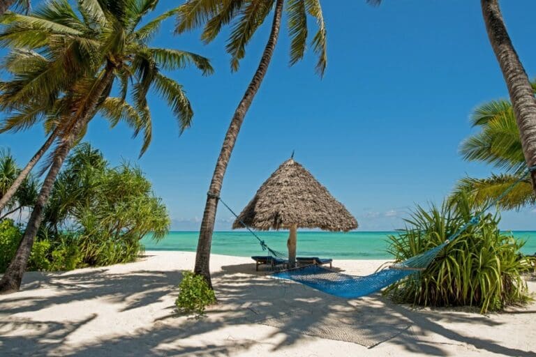 Pongwe zanzibar 2 a header 1