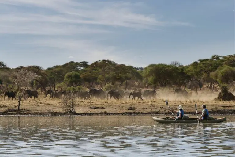 Sanctuary Swala Camp canoe safari