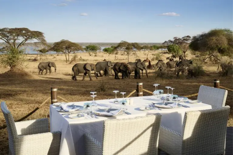 Sanctuary Swala Camp dining with elephants
