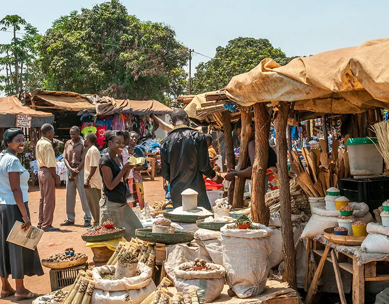 Chundukwa River Lodge vic falls activities Dambwa Market