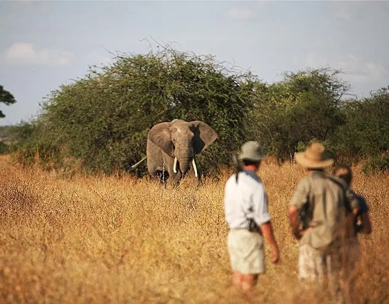 Eastasfricasafari3
