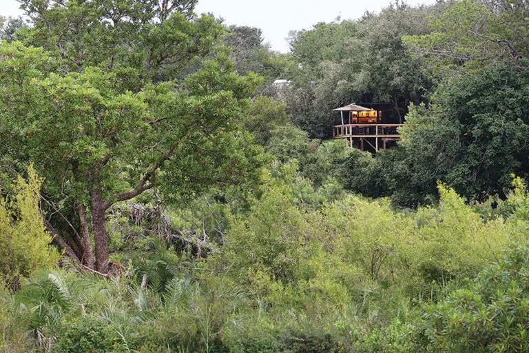LondoloziTreeCamp Exterior ArialView