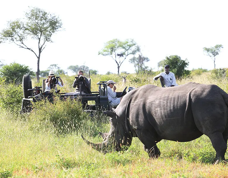 Londolozi Private Granite Suites Sabi sands Rhino on game drive