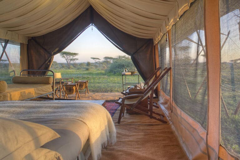Beyond Serengeti Under Canvas 1