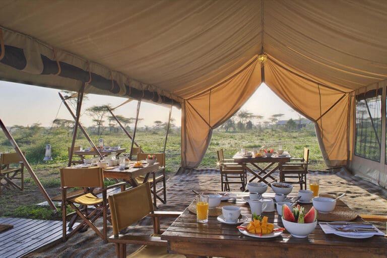 Beyond Serengeti Under Canvas
