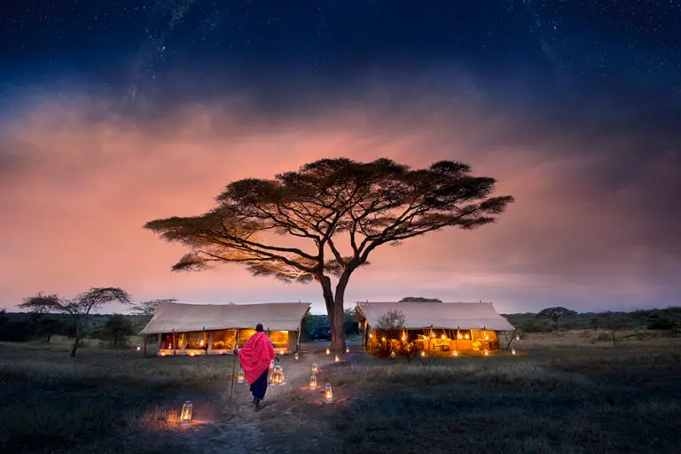 Main areas andBeyond Serengeti Under Canvas 1