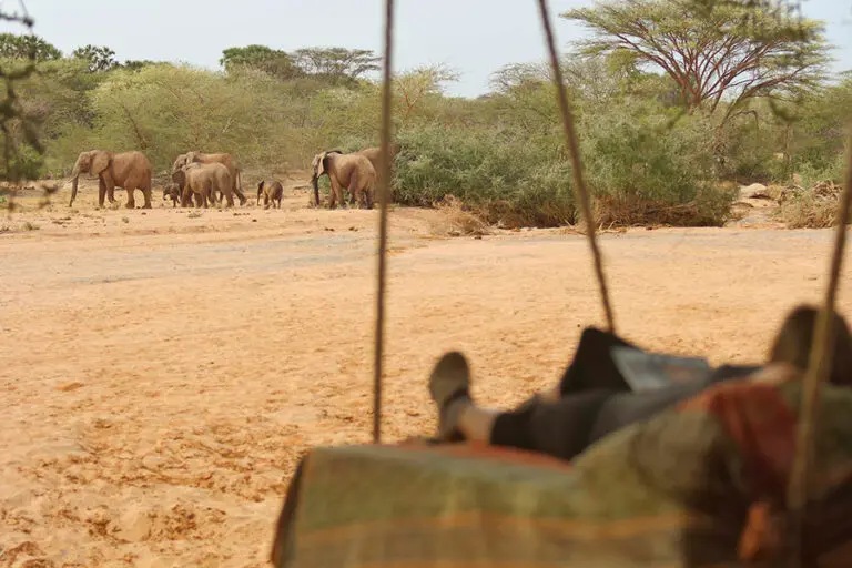 Saruni Rhino Banda 2 Tree bed with a view to the waterhole at Saruni Rhino