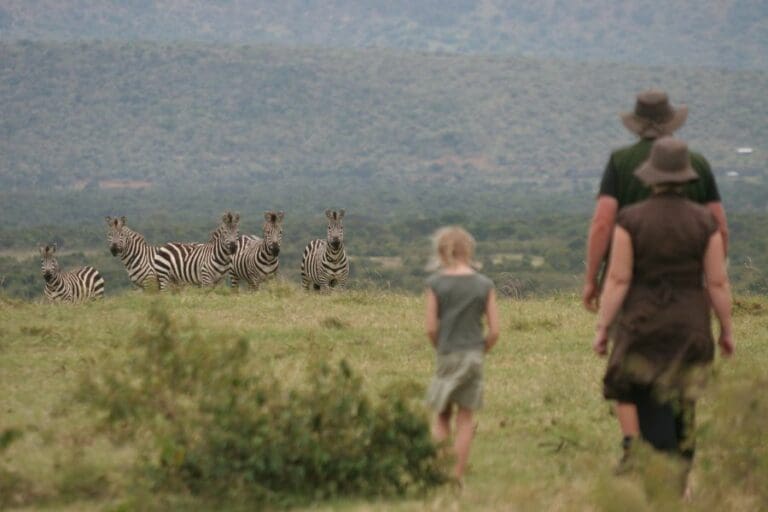 Saruni Wild nature walk