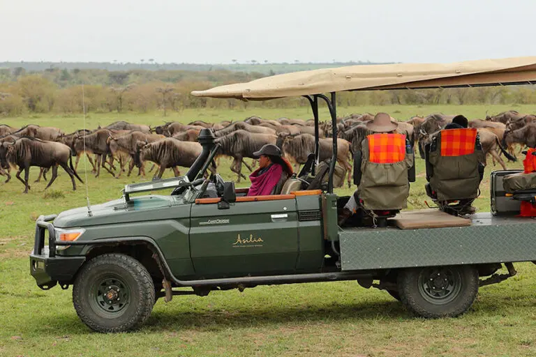 Naboisho specialist photographic vehicle game drive