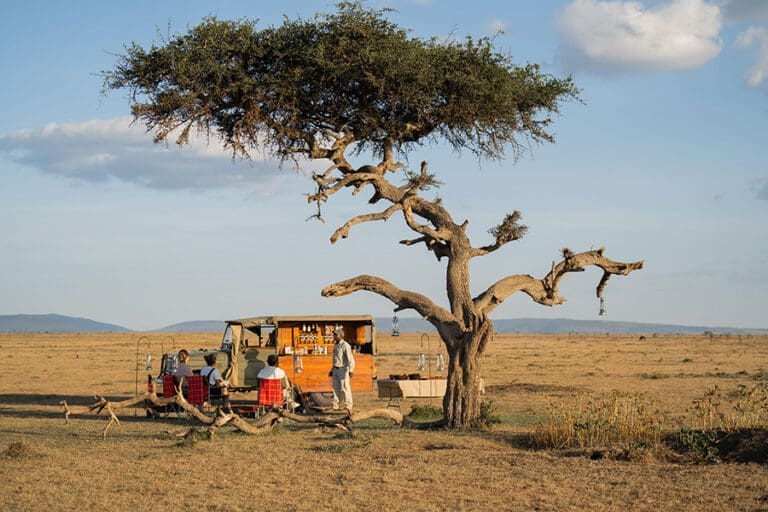 Naboisho Camp Bush Bar setup