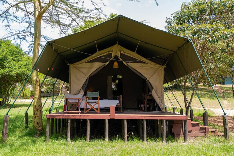 Tent Exterior