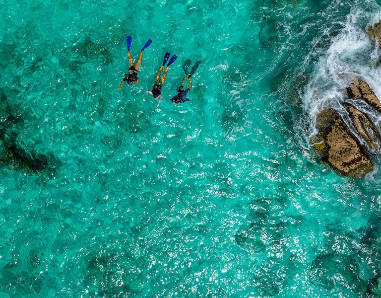 COUSINE ISLAND Snorkling M