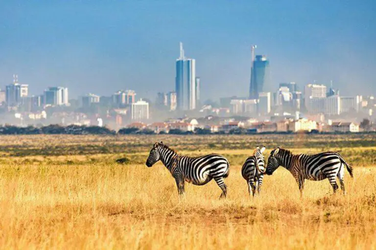 Hemingways nairobi national park 700x450 1