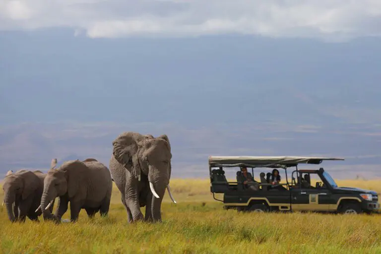 Elewana Tortilis Camp Amboseli