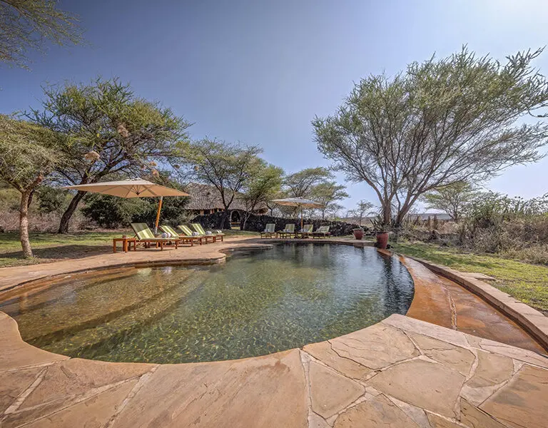 Tortilis Camp privateswimmingpool