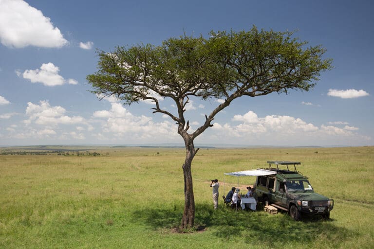 SandRiverMasaiMara Activity BushDinner