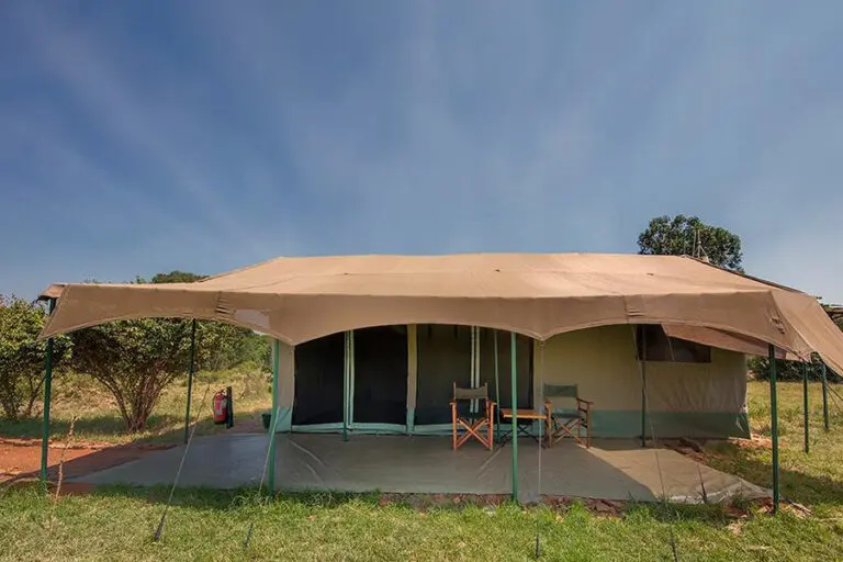 Porini Lion Camp 1