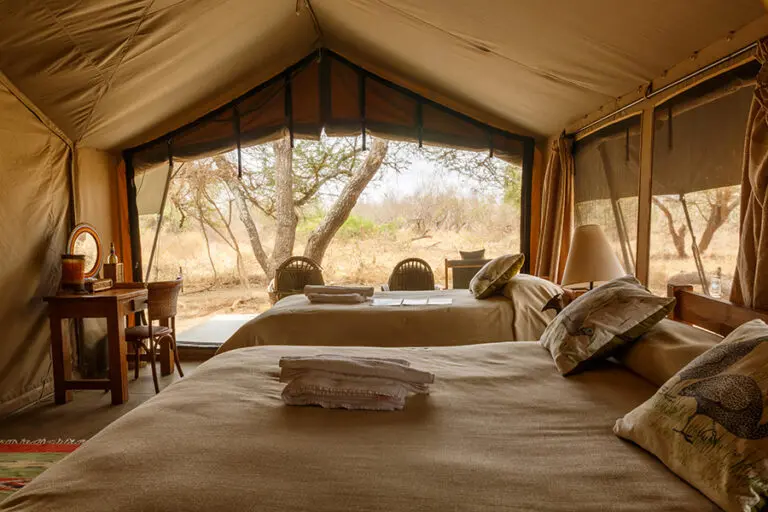 Porini Amboseli Camp Views from the tent
