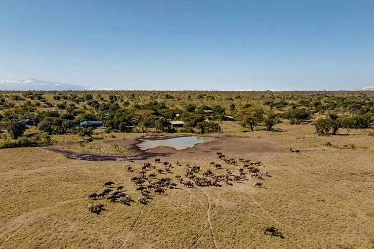 Porini Rhino Camp 1