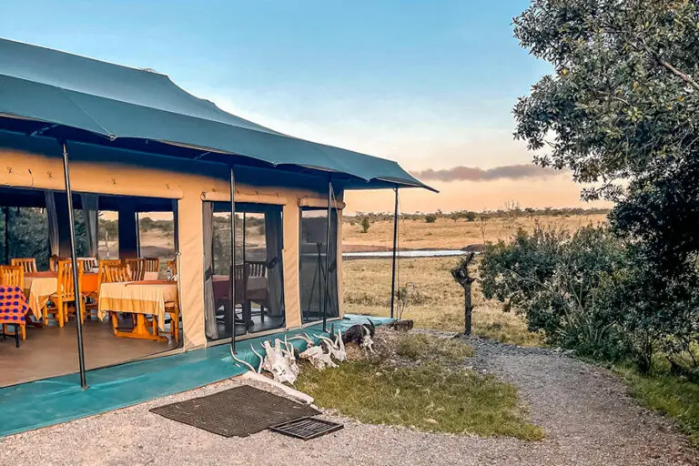 Porini Rhino Camp 1