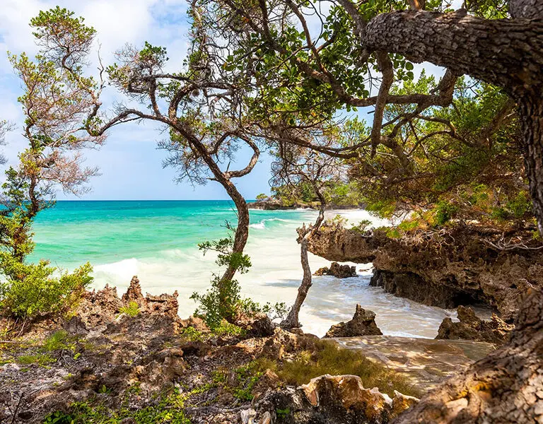 Chale Island Resort Kenya coast wild parts of the island