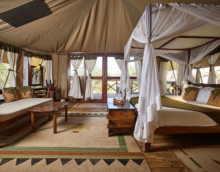 Elephant Bedroom Camp room