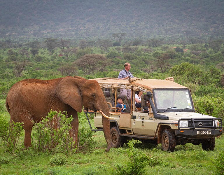 Elephant Bedroom Camp Samburu 11