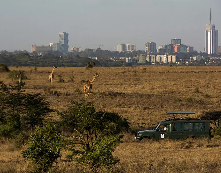 Ololo Safari Lodge Nairobi Game drives in NNP