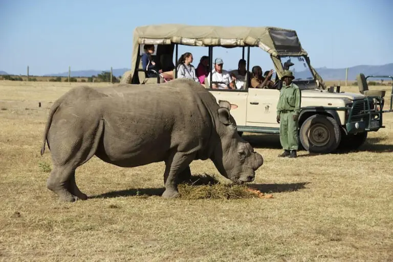Porini Rhino Camp Rhino ol pejeta nwrs