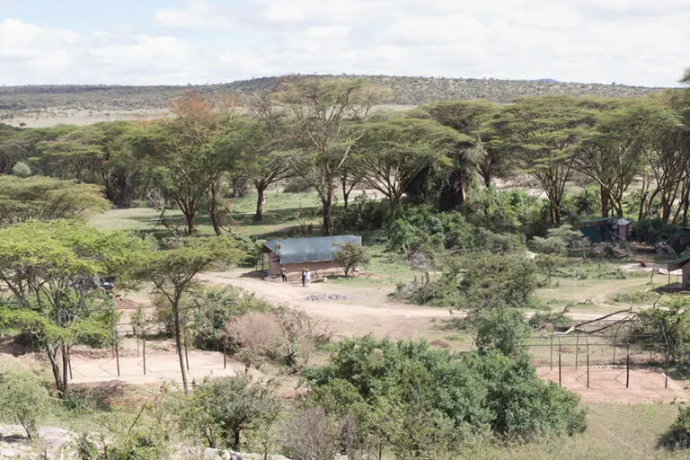 Porini Cheetah Camp 1 1