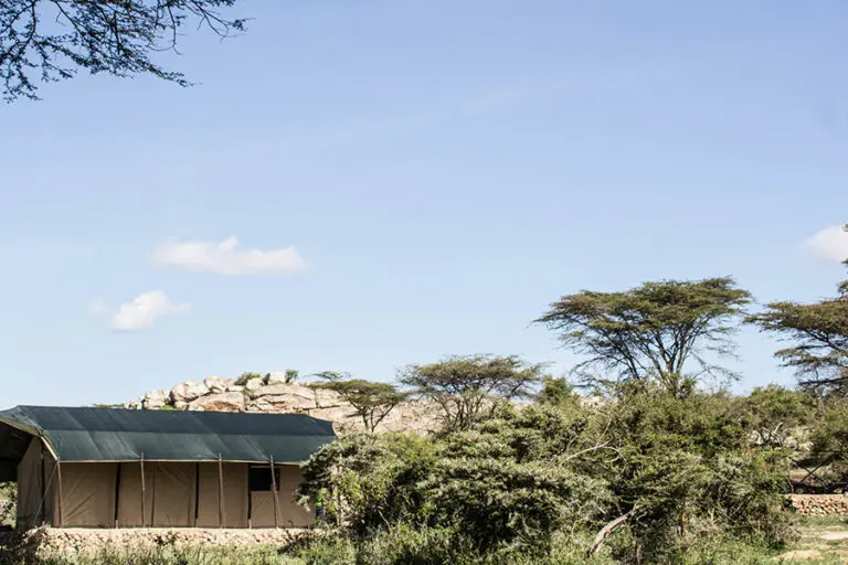 Porini Cheetah Camp