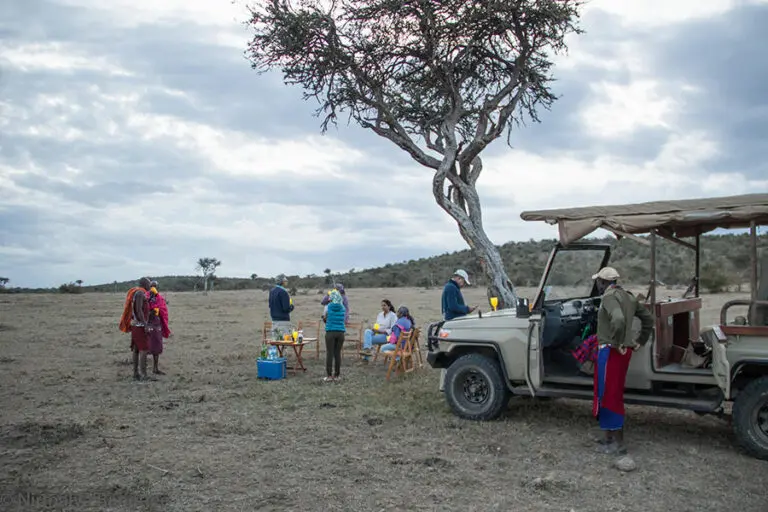 Porini Cheetah Camp 1