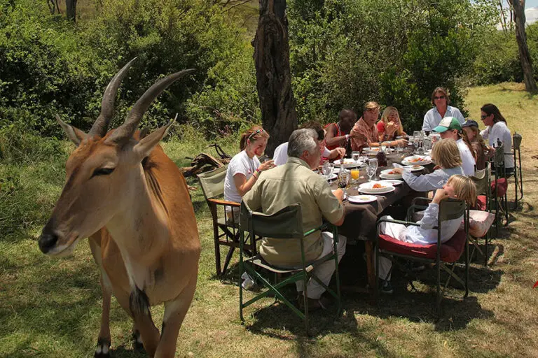 Saruni Mara Picnic lunch under the acacia trees