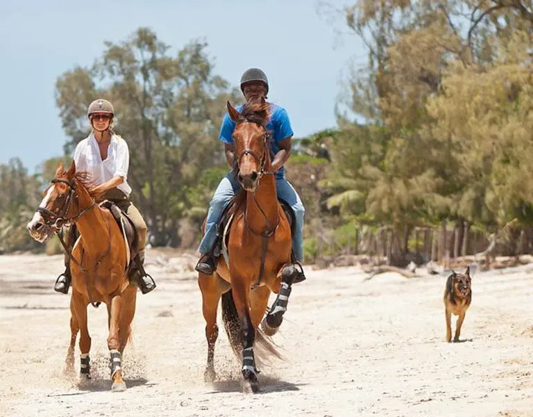Kinondo kwetu hotel diani horse riding on the beach