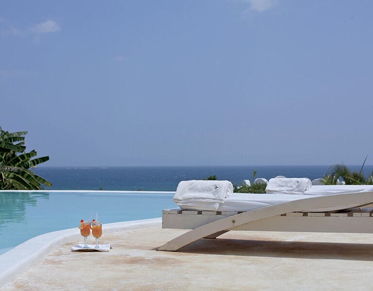 Main House infinity Pool