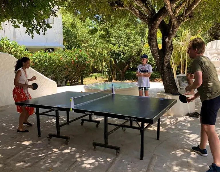 Ping Pong for the whole family