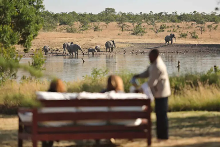 Kicheche Laikipia Camp Breakfast with elephants near camp waterhole