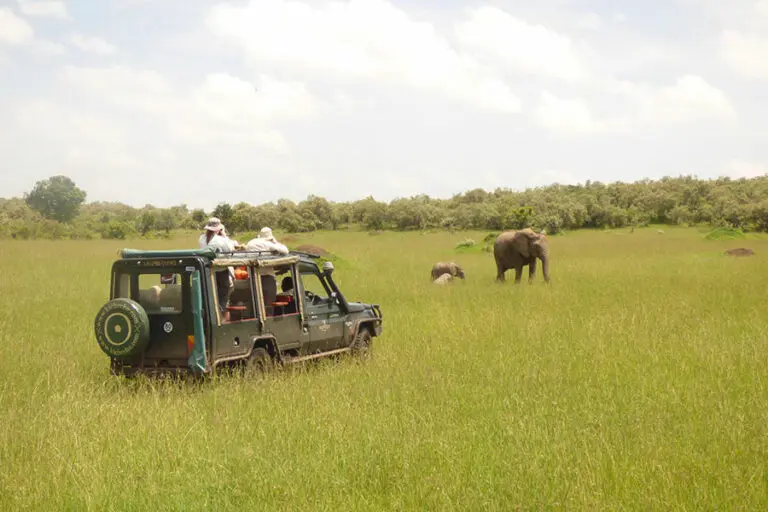 Kicheche Mara Camp
