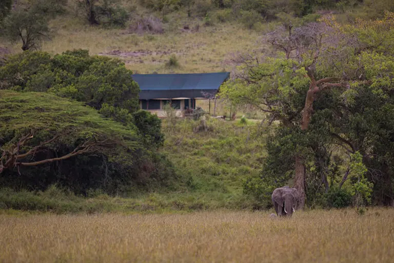 Kicheche Mara wildlife sighting from camp 4