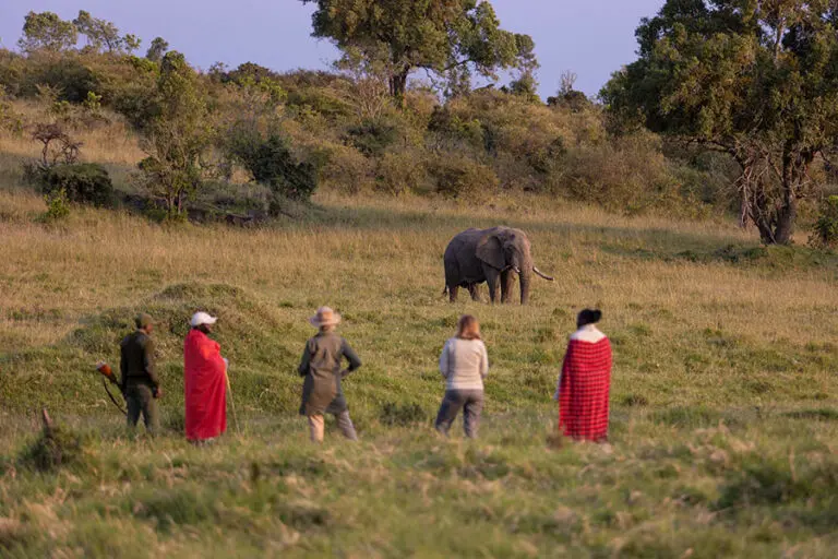 Maasai Mara guided walk 1
