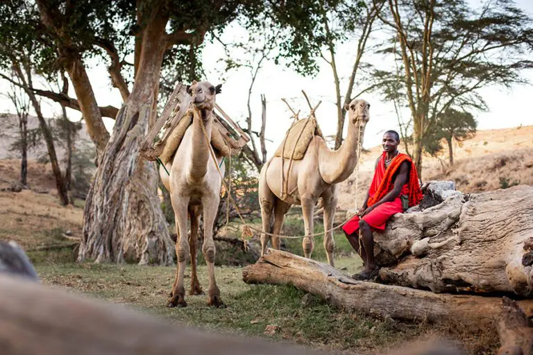 Lewa Wilderness Lodge wild walks