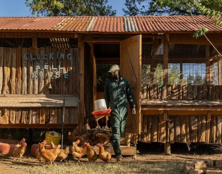 Olepangi Farm chicken house