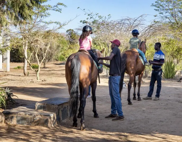 Olepangi Farm horse riding