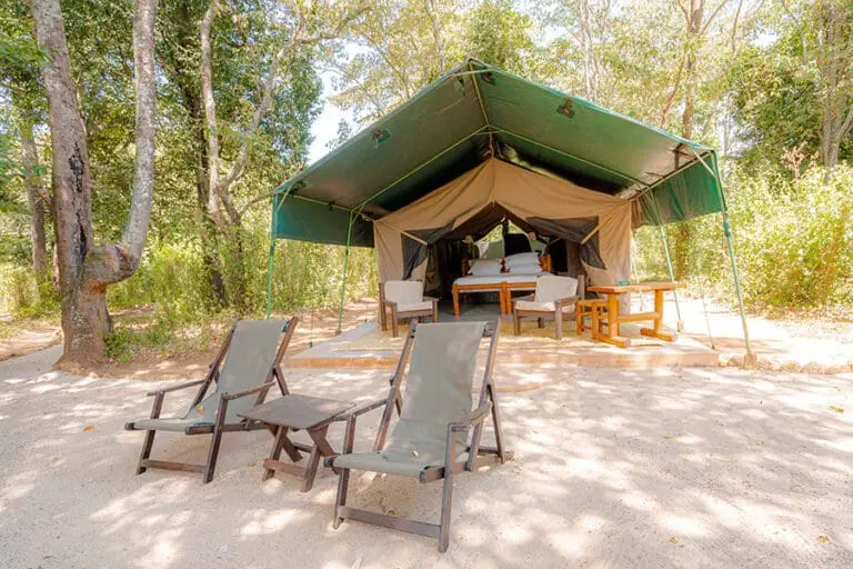 Kitich Forest Camp tent